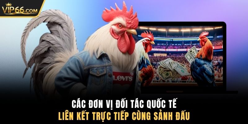 Các đơn vị đối tác quốc tế liên kết trực tiếp cùng sảnh đấu 